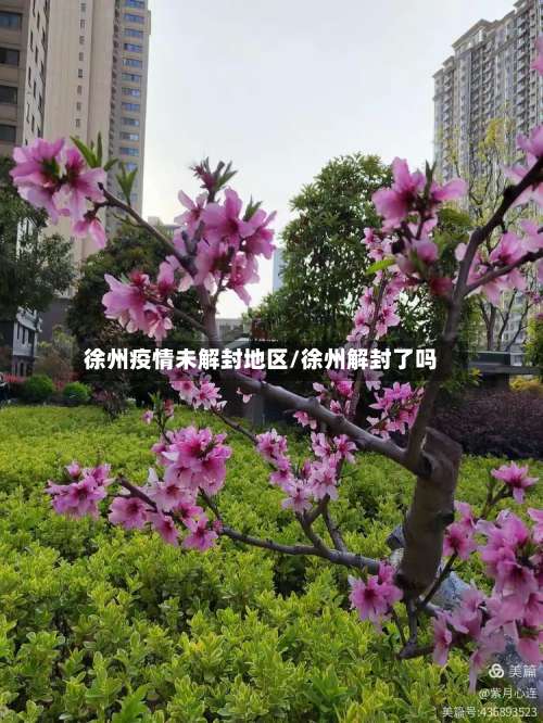 徐州疫情未解封地区/徐州解封了吗-第3张图片