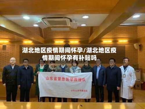 湖北地区疫情期间怀孕/湖北地区疫情期间怀孕有补贴吗-第1张图片