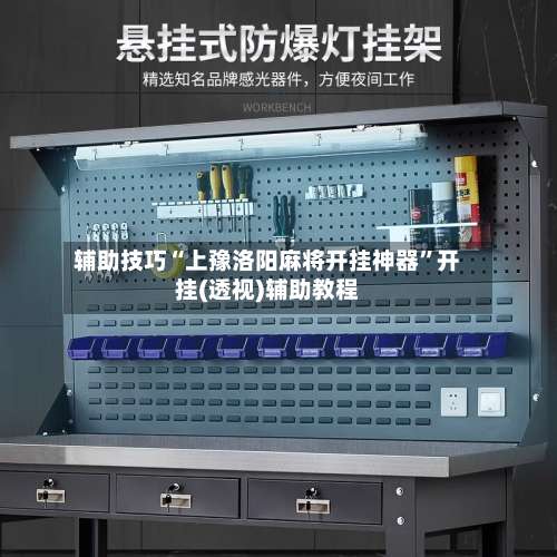 辅助技巧“上豫洛阳麻将开挂神器”开挂(透视)辅助教程-第2张图片