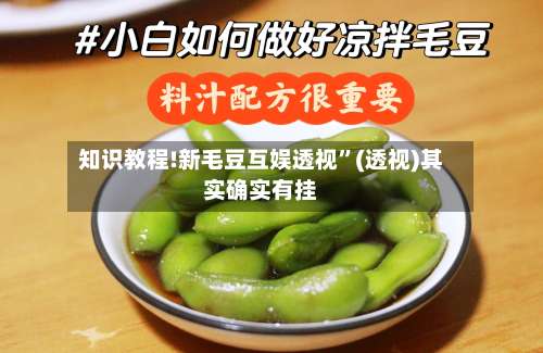 知识教程!新毛豆互娱透视”(透视)其实确实有挂-第1张图片