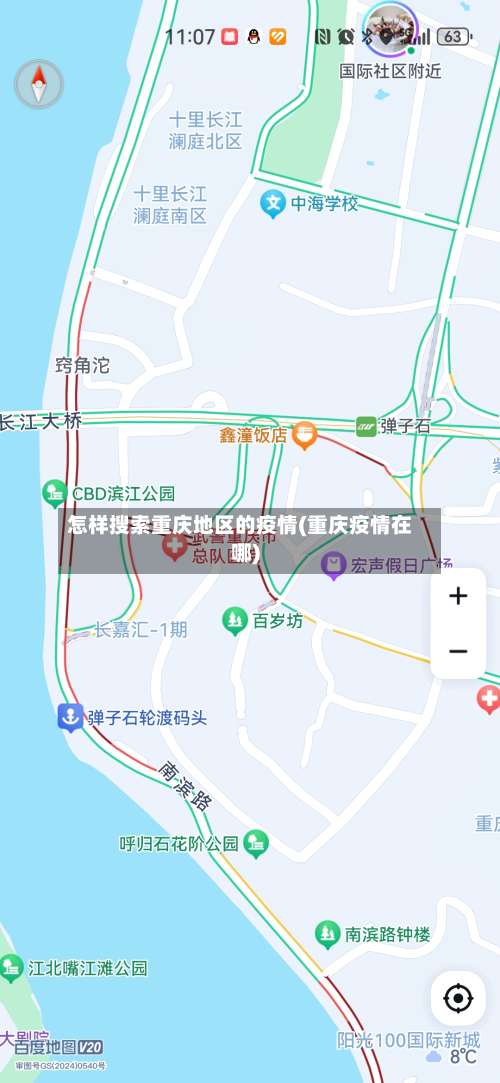 怎样搜索重庆地区的疫情(重庆疫情在哪)-第1张图片