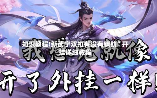 知识教程!新武宁双扣有没有辅助”开挂详细教程-第1张图片