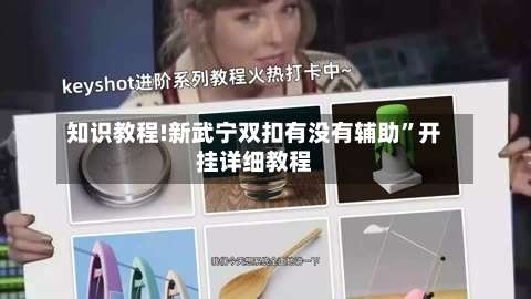 知识教程!新武宁双扣有没有辅助	”开挂详细教程-第2张图片