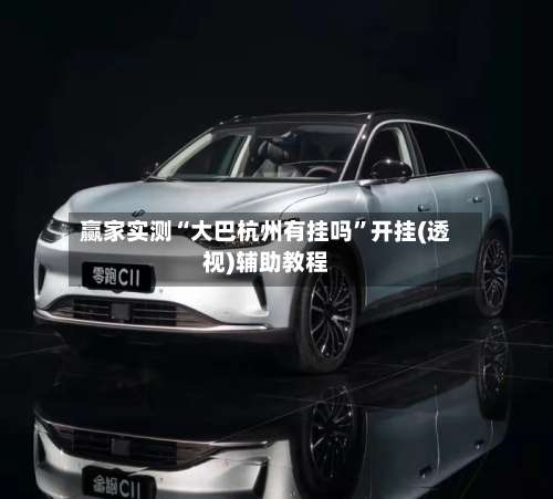 赢家实测“大巴杭州有挂吗”开挂(透视)辅助教程-第2张图片