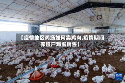 【疫情地区鸡场如何卖鸡肉,疫情期间养殖户鸡蛋销售】-第2张图片