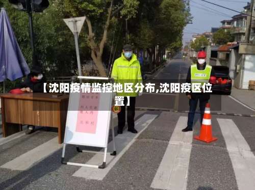 【沈阳疫情监控地区分布,沈阳疫区位置】-第2张图片