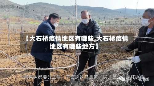 【大石桥疫情地区有哪些,大石桥疫情地区有哪些地方】-第2张图片