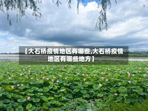 【大石桥疫情地区有哪些,大石桥疫情地区有哪些地方】-第1张图片