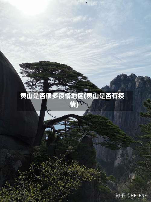 黄山是否很多疫情地区(黄山是否有疫情)-第1张图片