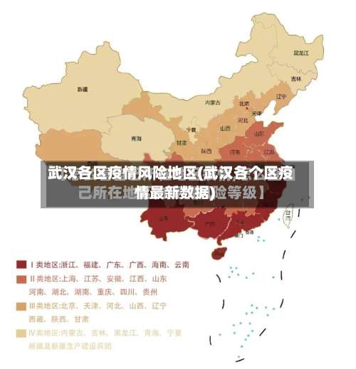 武汉各区疫情风险地区(武汉各个区疫情最新数据)-第1张图片