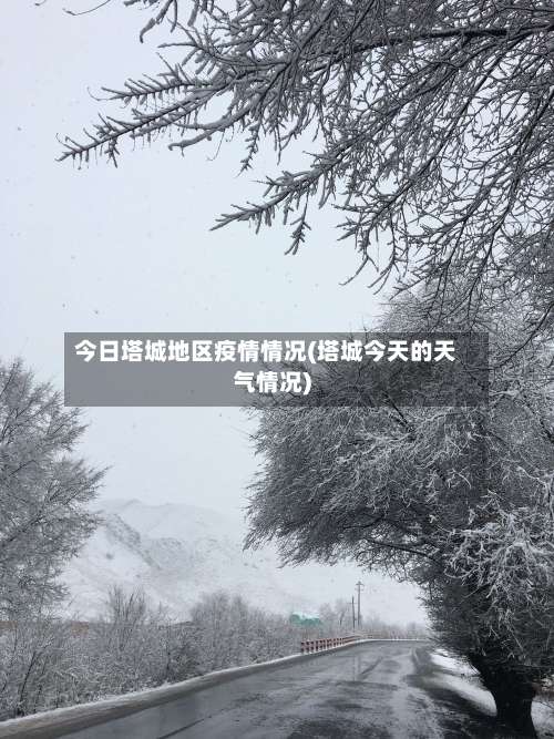 今日塔城地区疫情情况(塔城今天的天气情况)-第1张图片