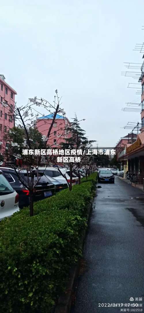 浦东新区高桥地区疫情/上海市浦东新区高桥-第1张图片