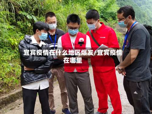 宜宾疫情在什么地区爆发/宜宾疫情在哪里-第2张图片