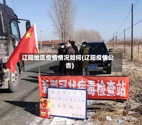 辽阳地区疫情情况如何(辽阳疫情公告)-第2张图片
