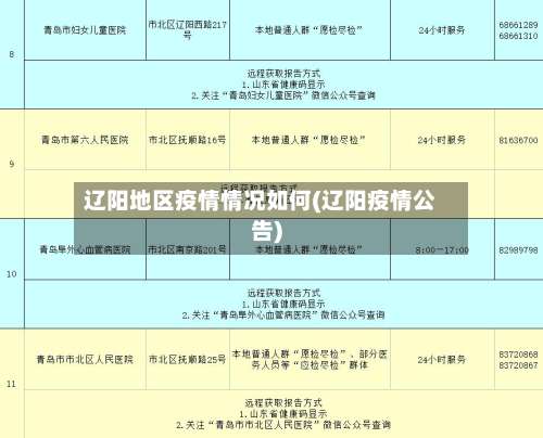 辽阳地区疫情情况如何(辽阳疫情公告)-第1张图片