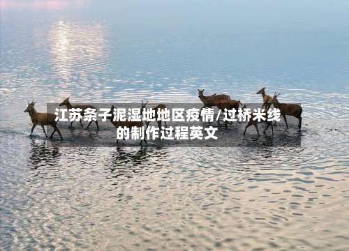 江苏条子泥湿地地区疫情/过桥米线的制作过程英文-第2张图片