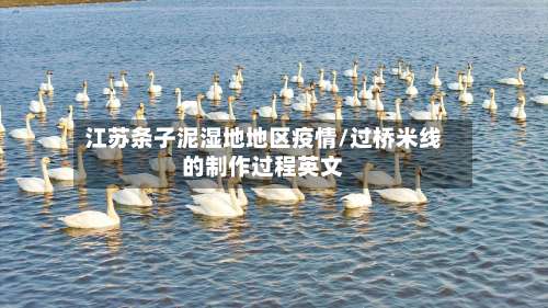 江苏条子泥湿地地区疫情/过桥米线的制作过程英文-第3张图片