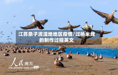 江苏条子泥湿地地区疫情/过桥米线的制作过程英文-第1张图片