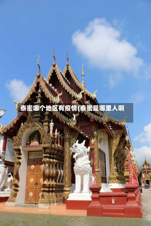 泰密哪个地区有疫情(泰蜜是哪里人啊)-第1张图片