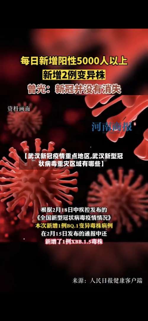 【武汉新冠疫情重点地区,武汉新型冠状病毒重灾区域有哪些】-第3张图片