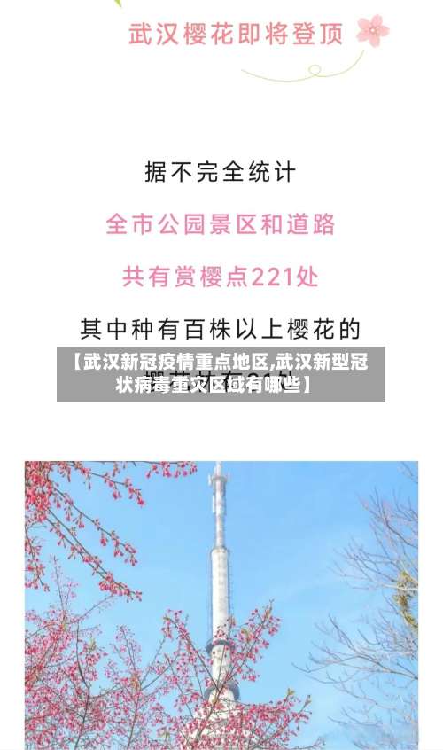 【武汉新冠疫情重点地区,武汉新型冠状病毒重灾区域有哪些】-第2张图片
