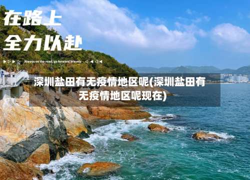 深圳盐田有无疫情地区呢(深圳盐田有无疫情地区呢现在)-第1张图片