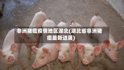 非洲猪瘟疫情地区湖北(湖北省非洲猪瘟最新进展)-第2张图片