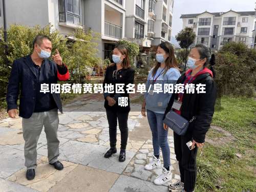 阜阳疫情黄码地区名单/阜阳疫情在哪-第3张图片