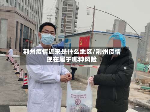 荆州疫情近来是什么地区/荆州疫情现在属于哪种风险-第2张图片