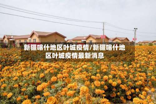 新疆喀什地区叶城疫情/新疆喀什地区叶城疫情最新消息-第2张图片