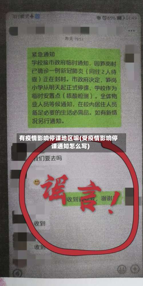 有疫情影响停课地区嘛(受疫情影响停课通知怎么写)-第1张图片