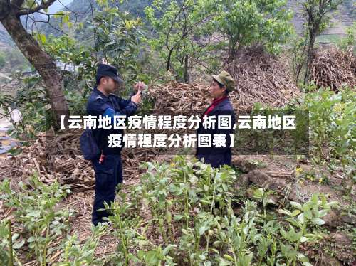 【云南地区疫情程度分析图,云南地区疫情程度分析图表】-第1张图片