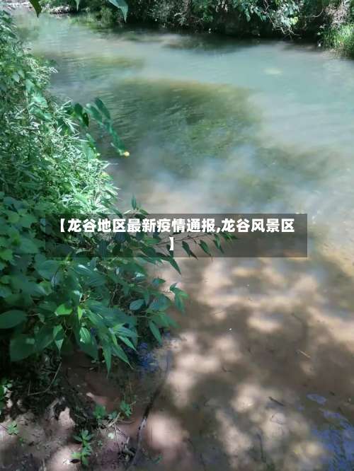 【龙谷地区最新疫情通报,龙谷风景区】-第1张图片