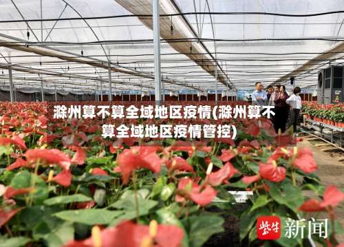 滁州算不算全域地区疫情(滁州算不算全域地区疫情管控)-第2张图片