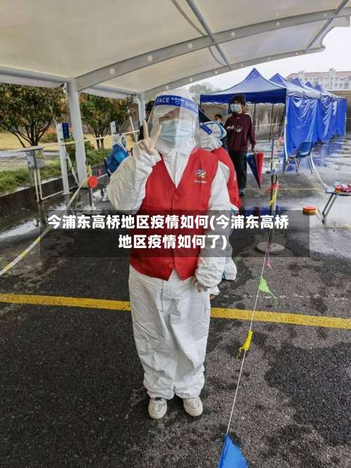 今浦东高桥地区疫情如何(今浦东高桥地区疫情如何了)-第3张图片