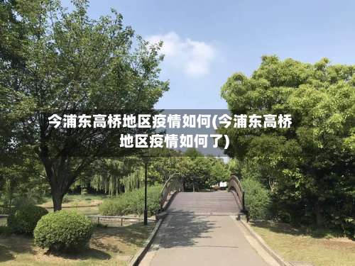 今浦东高桥地区疫情如何(今浦东高桥地区疫情如何了)-第2张图片