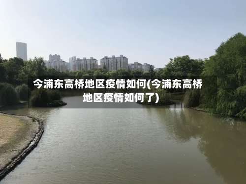 今浦东高桥地区疫情如何(今浦东高桥地区疫情如何了)-第1张图片