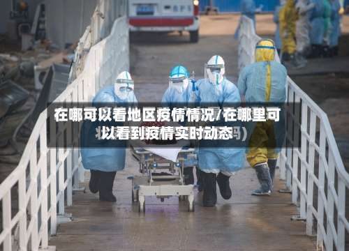在哪可以看地区疫情情况/在哪里可以看到疫情实时动态-第1张图片