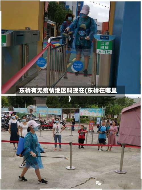 东桥有无疫情地区吗现在(东桥在哪里)-第1张图片