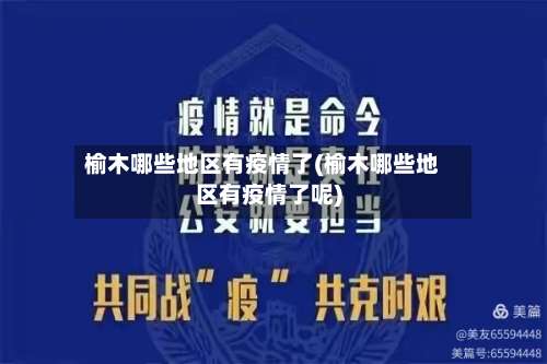 榆木哪些地区有疫情了(榆木哪些地区有疫情了呢)-第3张图片