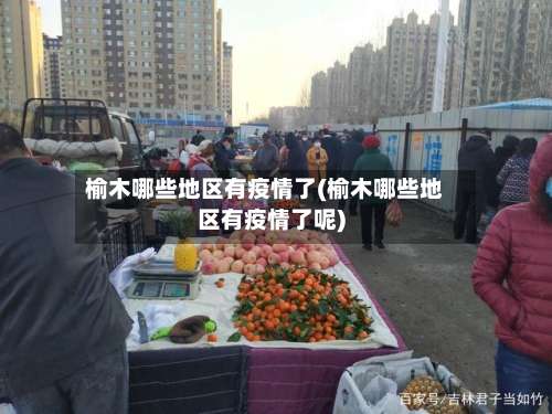 榆木哪些地区有疫情了(榆木哪些地区有疫情了呢)-第2张图片