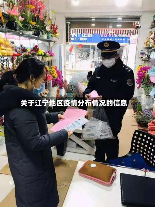 关于江宁地区疫情分布情况的信息-第2张图片