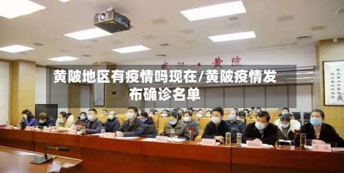 黄陂地区有疫情吗现在/黄陂疫情发布确诊名单-第1张图片