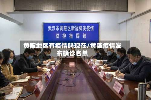 黄陂地区有疫情吗现在/黄陂疫情发布确诊名单-第2张图片
