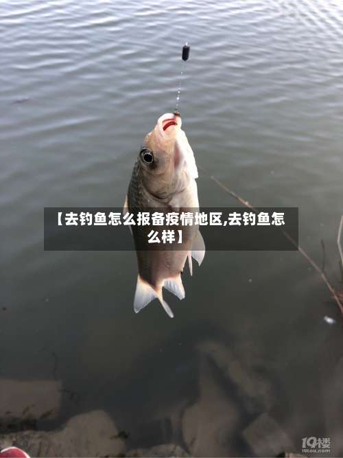 【去钓鱼怎么报备疫情地区,去钓鱼怎么样】-第2张图片