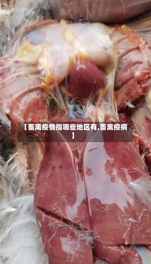 【畜禽疫情指哪些地区有,畜禽疫病】-第2张图片
