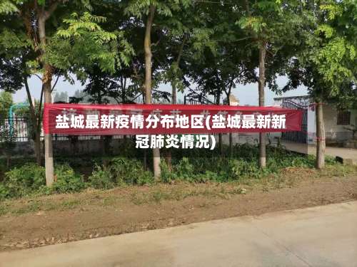 盐城最新疫情分布地区(盐城最新新冠肺炎情况)-第1张图片