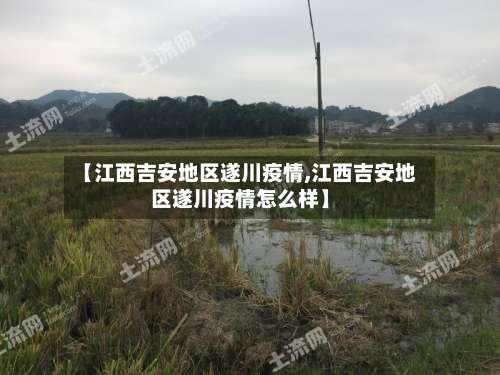 【江西吉安地区遂川疫情,江西吉安地区遂川疫情怎么样】-第2张图片