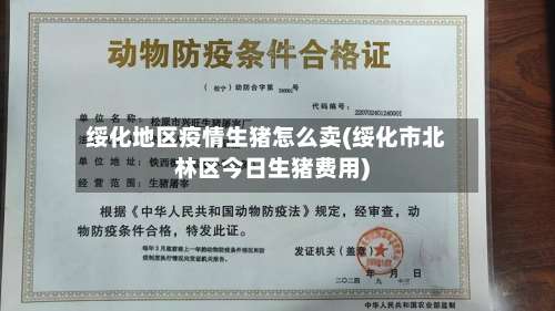 绥化地区疫情生猪怎么卖(绥化市北林区今日生猪费用)-第3张图片