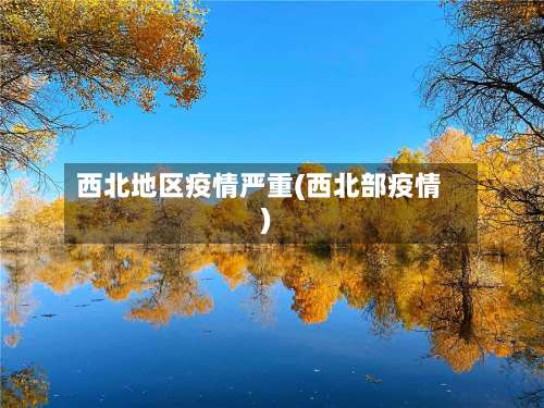 西北地区疫情严重(西北部疫情)-第2张图片